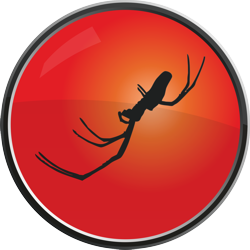 Jamie King Design and Marketing Logo, circular with spider silhouette